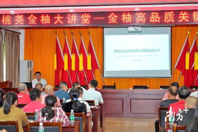 金柚技术培训2.jpg