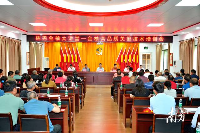 金柚技术培训1.jpg