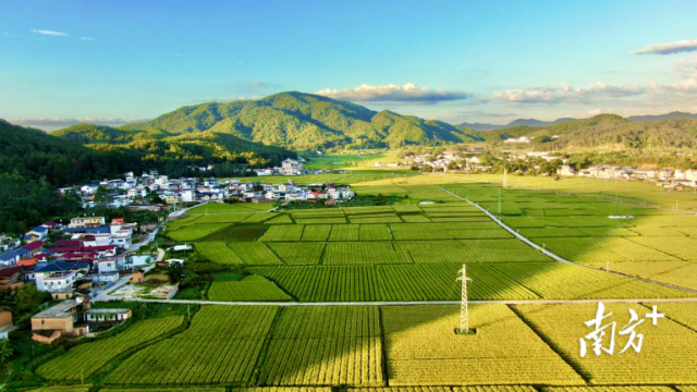 梅州市烟草专卖局(公司)拍摄 梅州市烟草专卖局(公司)拍摄
