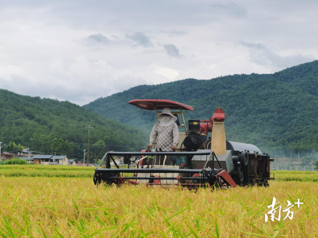 梅州市烟草专卖局(公司)拍摄 梅州市烟草专卖局(公司)拍摄
